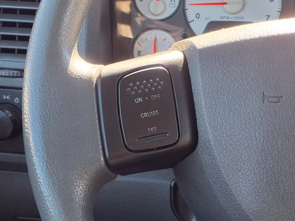 2006 Dodge Ram 1500 - 3D7KS19D96G234808 - Image #8